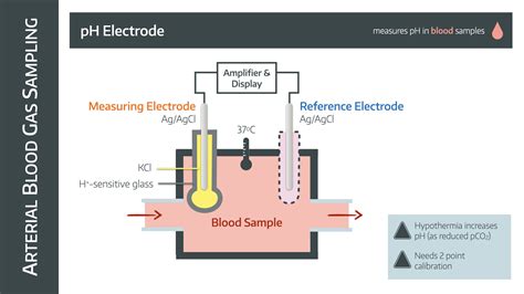 what does a blood gas analyzer measure|blood gas analyzer working principle.